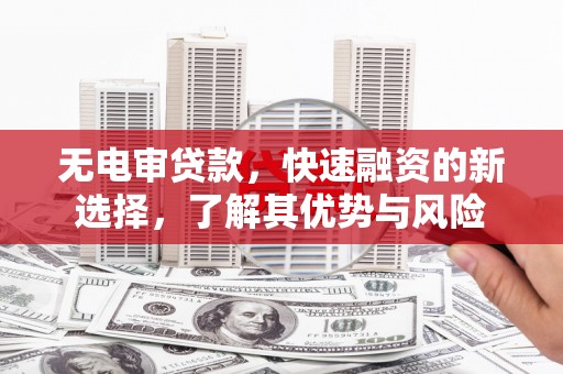 定陶无电审贷款，快速融资的新选择，了解其优势与风险