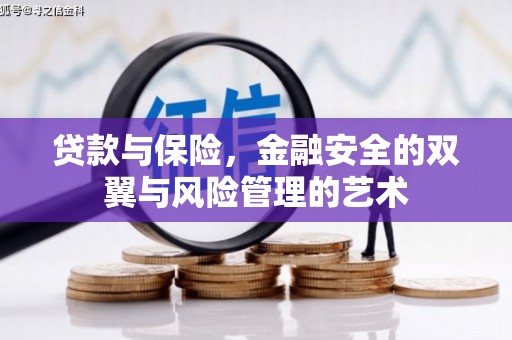 定陶贷款与保险，金融安全的双翼与风险管理的艺术