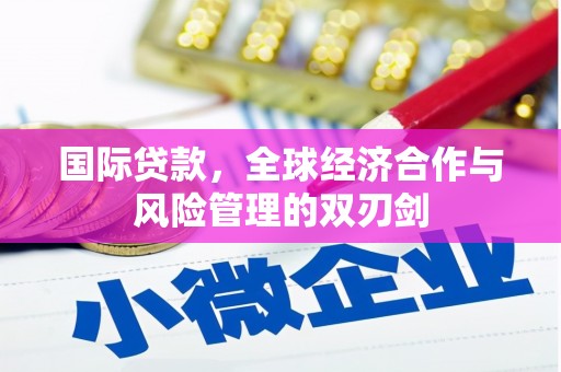 定陶国际贷款，全球经济合作与风险管理的双刃剑
