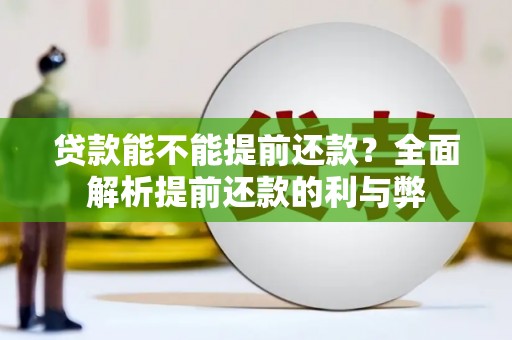 定陶贷款能不能提前还款？全面解析提前还款的利与弊