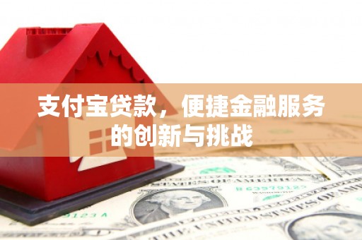 定陶支付宝贷款，便捷金融服务的创新与挑战