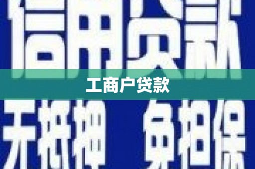 定陶工商户贷款