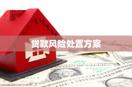 定陶贷款风险处置方案