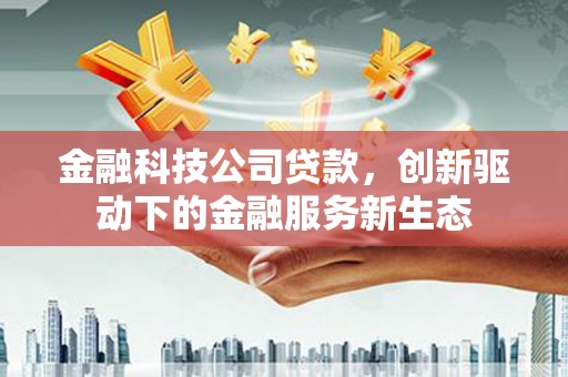 定陶金融科技公司贷款，创新驱动下的金融服务新生态