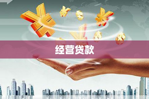 定陶经营贷款