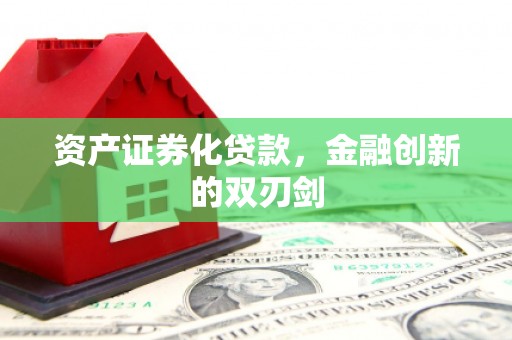 定陶资产证券化贷款，金融创新的双刃剑