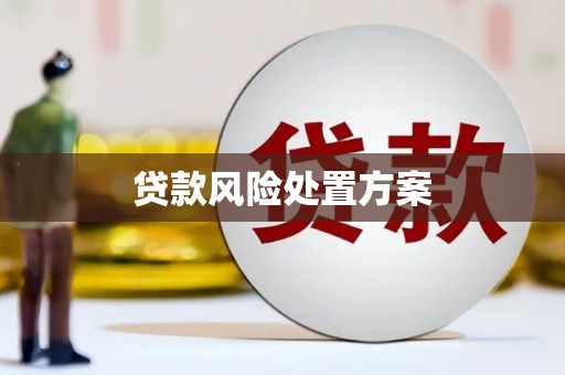 定陶贷款风险处置方案