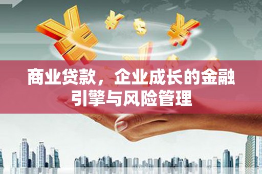 定陶商业贷款，企业成长的金融引擎与风险管理