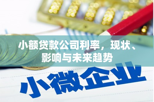 定陶小额贷款公司利率，现状、影响与未来趋势