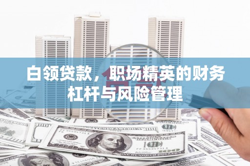 定陶白领贷款，职场精英的财务杠杆与风险管理