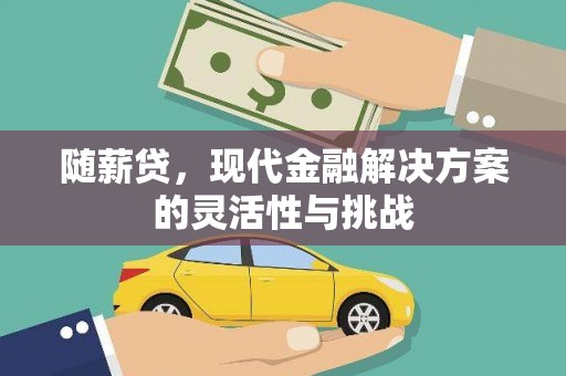 定陶随薪贷，现代金融解决方案的灵活性与挑战