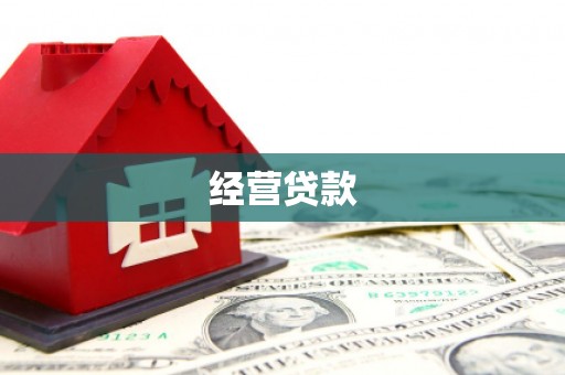 定陶经营贷款
