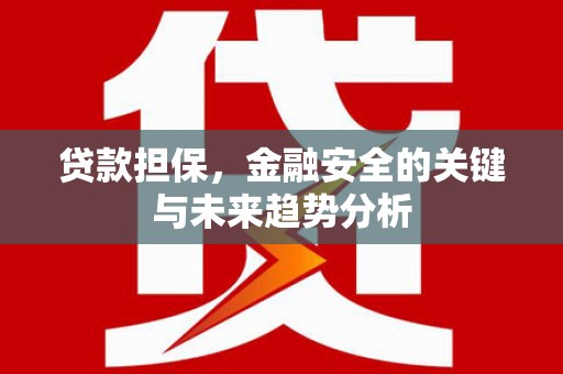 定陶贷款担保，金融安全的关键与未来趋势分析