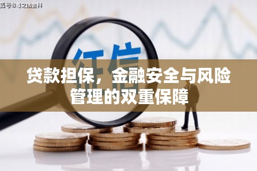 定陶贷款担保，金融安全与风险管理的双重保障