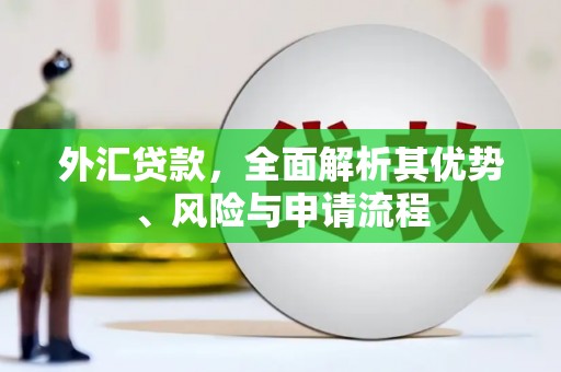 定陶外汇贷款，全面解析其优势、风险与申请流程