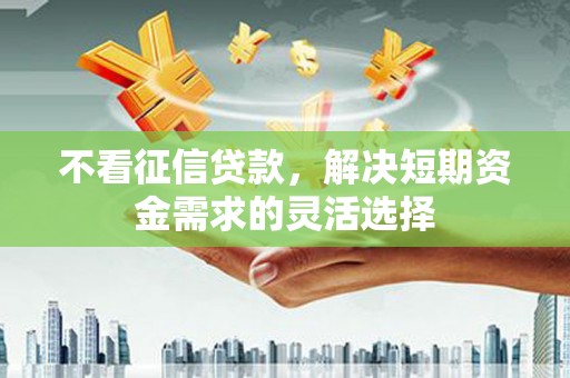 定陶不看征信贷款，解决短期资金需求的灵活选择