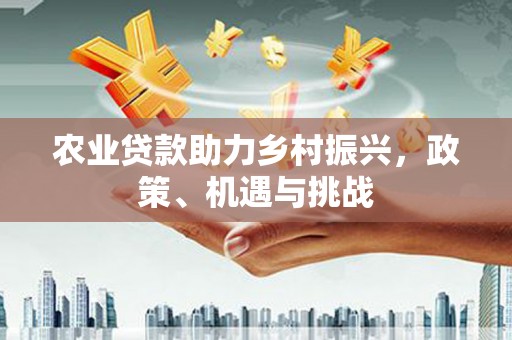 定陶农业贷款助力乡村振兴，政策、机遇与挑战