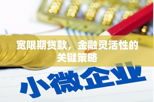 定陶宽限期贷款，金融灵活性的关键策略