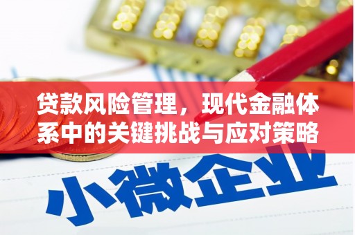定陶贷款风险管理，现代金融体系中的关键挑战与应对策略