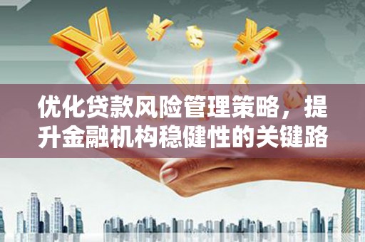定陶优化贷款风险管理策略，提升金融机构稳健性的关键路径