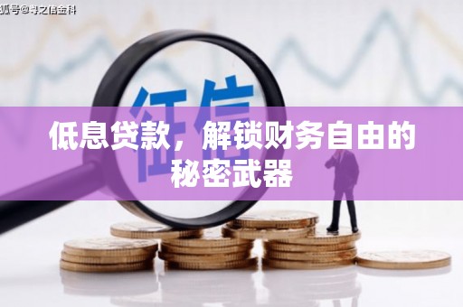 定陶低息贷款，解锁财务自由的秘密武器