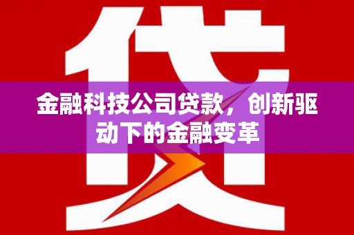 定陶金融科技公司贷款，创新驱动下的金融变革