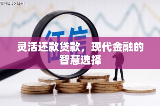 定陶灵活还款贷款，现代金融的智慧选择