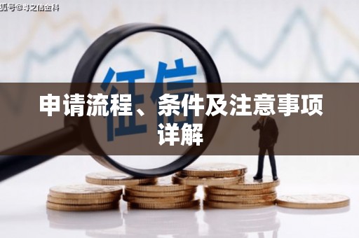 定陶申请流程、条件及注意事项详解