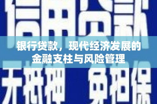 定陶银行贷款，现代经济发展的金融支柱与风险管理