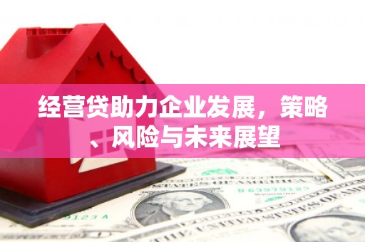 定陶经营贷助力企业发展，策略、风险与未来展望