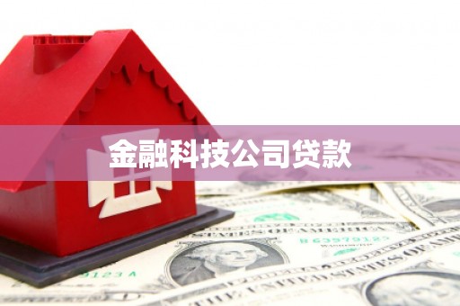 定陶金融科技公司贷款