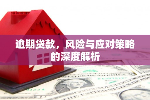 定陶逾期贷款，风险与应对策略的深度解析