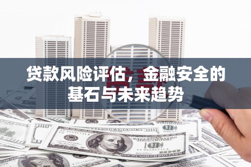 定陶贷款风险评估，金融安全的基石与未来趋势