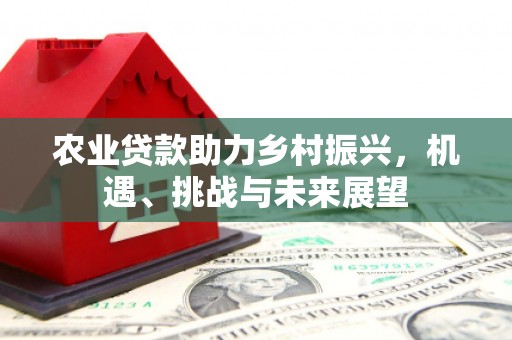 定陶农业贷款助力乡村振兴，机遇、挑战与未来展望