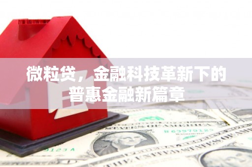定陶微粒贷，金融科技革新下的普惠金融新篇章