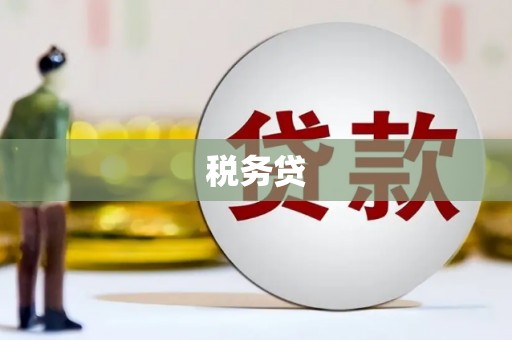 定陶税务贷
