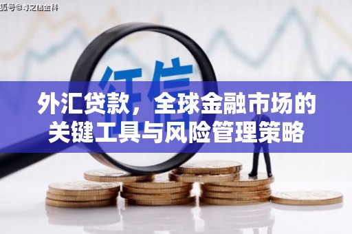 定陶外汇贷款，全球金融市场的关键工具与风险管理策略