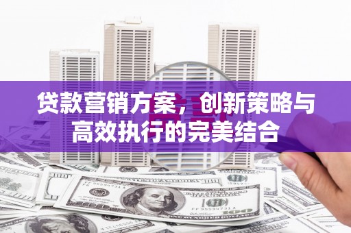 定陶贷款营销方案，创新策略与高效执行的完美结合