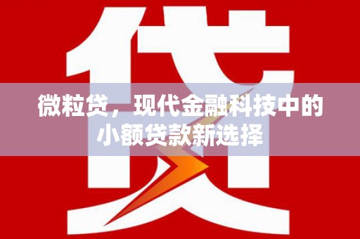 定陶微粒贷，现代金融科技中的小额贷款新选择