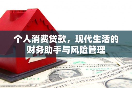 定陶个人消费贷款，现代生活的财务助手与风险管理