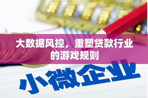 定陶大数据风控，重塑贷款行业的游戏规则