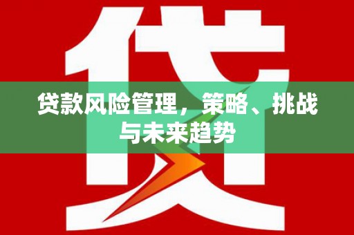 定陶贷款风险管理，策略、挑战与未来趋势