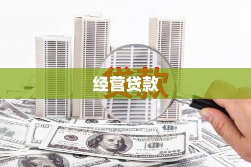 定陶经营贷款