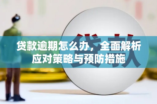 定陶贷款逾期怎么办，全面解析应对策略与预防措施
