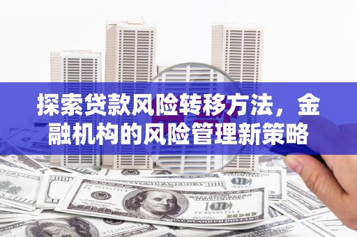 定陶探索贷款风险转移方法，金融机构的风险管理新策略