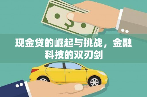 定陶现金贷的崛起与挑战，金融科技的双刃剑