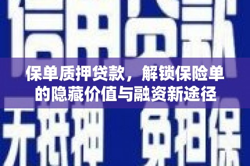 定陶保单质押贷款，解锁保险单的隐藏价值与融资新途径