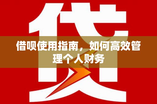 定陶借呗使用指南，如何高效管理个人财务
