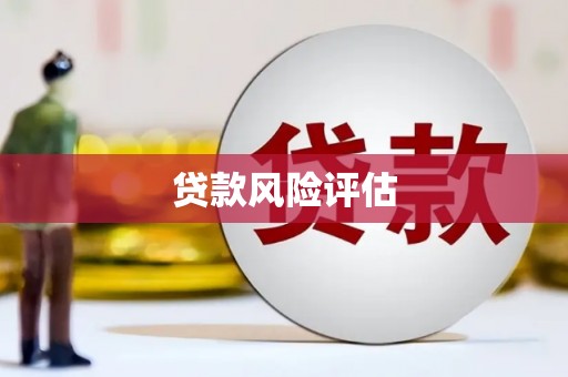 定陶贷款风险评估