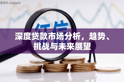 定陶深度贷款市场分析，趋势、挑战与未来展望